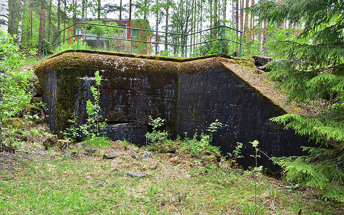 Long-term fortification