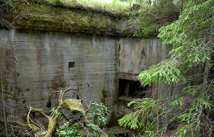 Flanking gun bunker in a dense forest