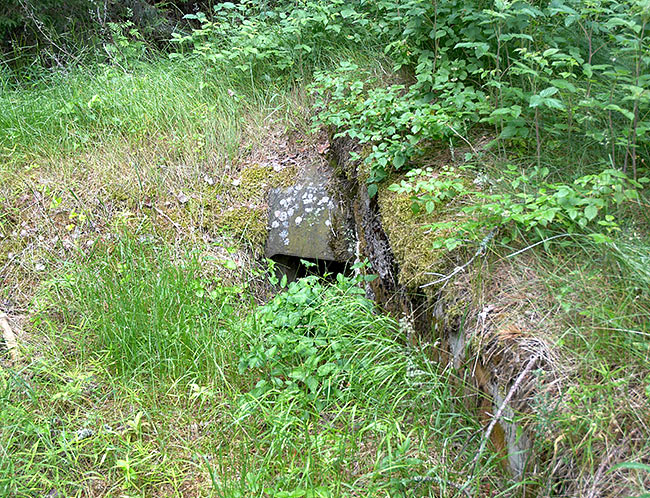 At the top of an inconspicuous hill by the road