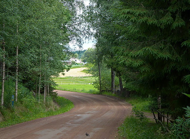 Road to Ravieki