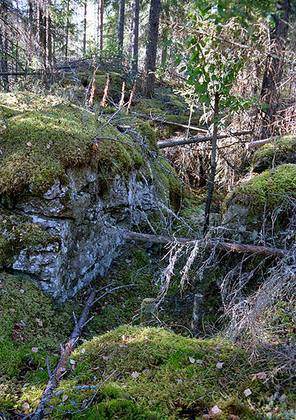 #9 - Old trenches