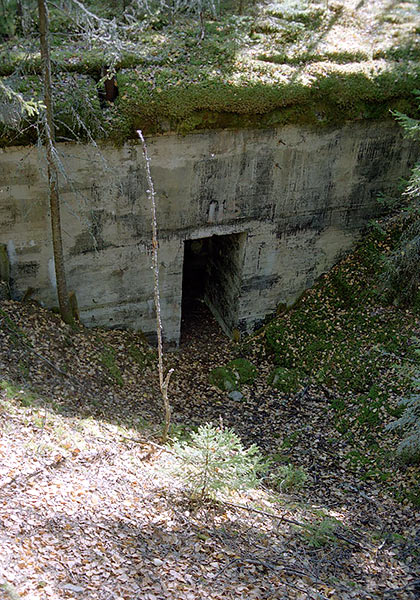 #16 - Big infantry Shelter